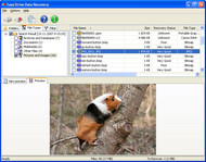 Easy Drive Data Recovery screenshot